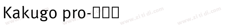 Kakugo pro字体转换